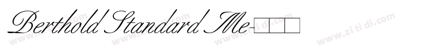 Berthold Standard Me字体转换